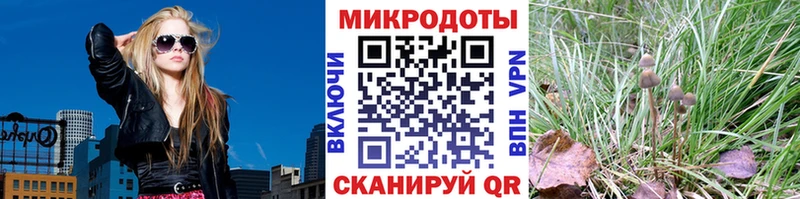 купить наркоту Белозерск Псилоцибиновые грибы мицелий